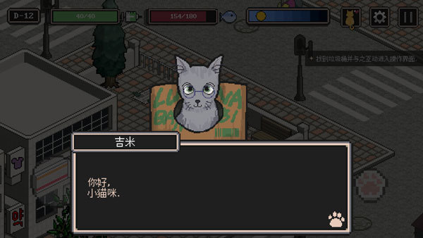 流浪猫的故事中文