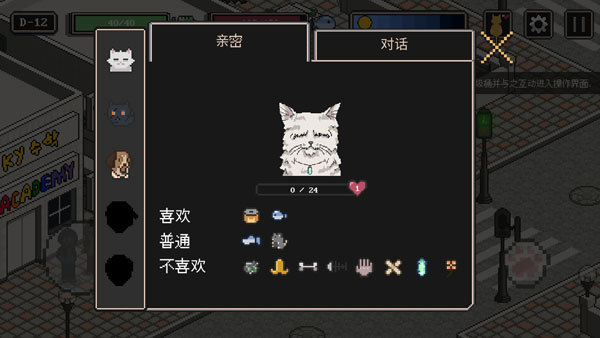 流浪猫的故事中文