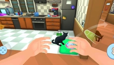 我的宠物猫 截图