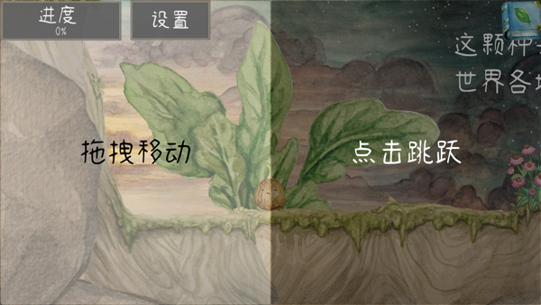 发芽啦