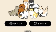 uchinokomaker 截图