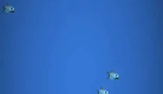 WorldBox官网 截图