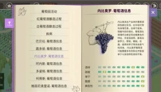 酿造物语手机版 截图