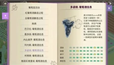 酿造物语手机版 截图