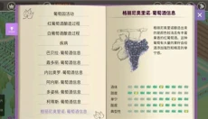 酿造物语手机版 截图