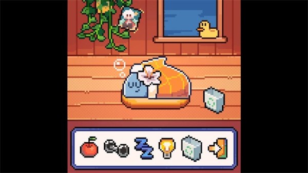 我的小鲨鱼新版