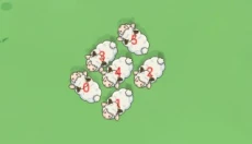 咩咩小羊 截图