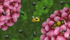 永远的美味星球 截图