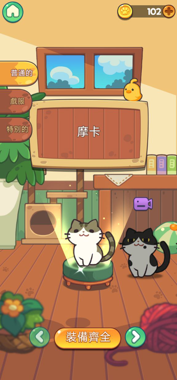 猫与朋友