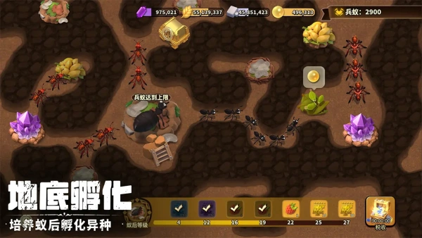 蚁族崛起官网