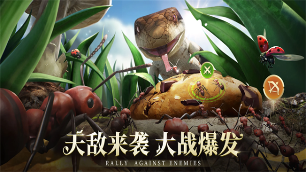 蚂蚁地下 王国