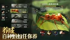 小小蚁国最新版本 截图