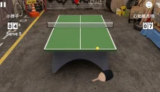 Virtual Table Tennis 截图