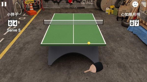 Virtual Table Tennis