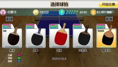 Virtual Table Tennis 截图