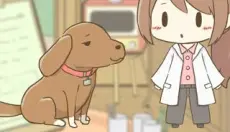 暖洋洋之森的药师 截图