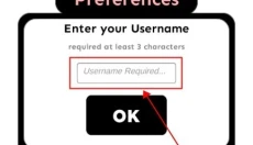 RSR 截图