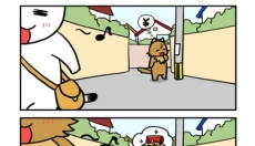 白猫与冰之城 截图