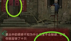 纸嫁衣1无广告 截图