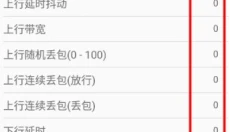 金砖弱网 截图