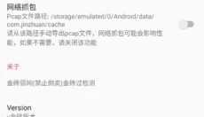 金砖弱网 截图