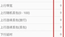 金砖弱网 截图