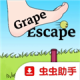 grapeescape葡萄逃脱