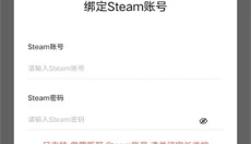 SteamPY 截图