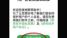 野草助手TV版 截图