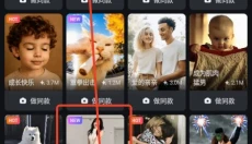 pixverse中文版 截图