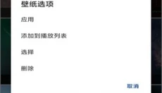 壁纸引擎手机版 截图