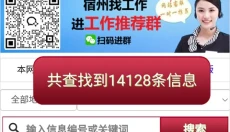 宿州信息网 截图