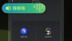 黑盒语音 截图