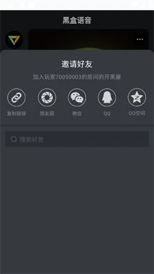 黑盒语音 截图