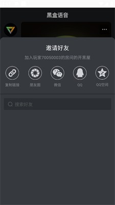 黑盒语音图片6