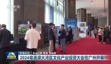 小飞电视 截图