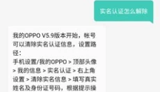 oppo游戏中心 截图