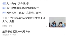 vivo浏览器app 截图