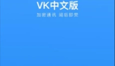 VK 截图