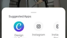 Pexels 截图
