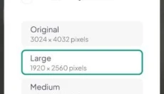 Pexels 截图