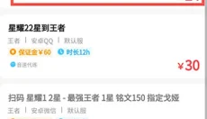 代练丸子 截图