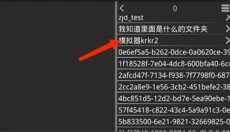 krkr2模拟器 截图