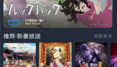 次元站 截图