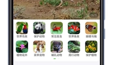 识万物扫一扫 截图