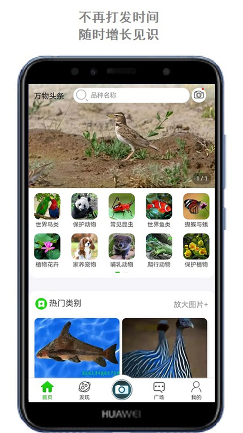 识万物扫一扫