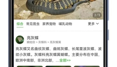 识万物扫一扫 截图