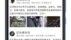 识万物扫一扫 截图