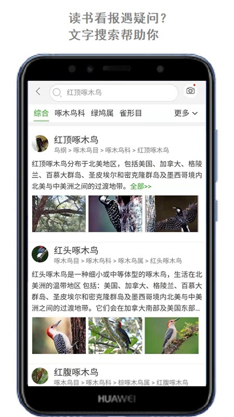 识万物扫一扫