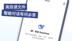DeepSeek 截图